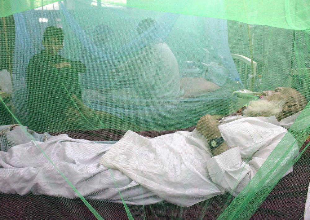 The Weekend Leader - Islamabad witnesses spike in dengue cases